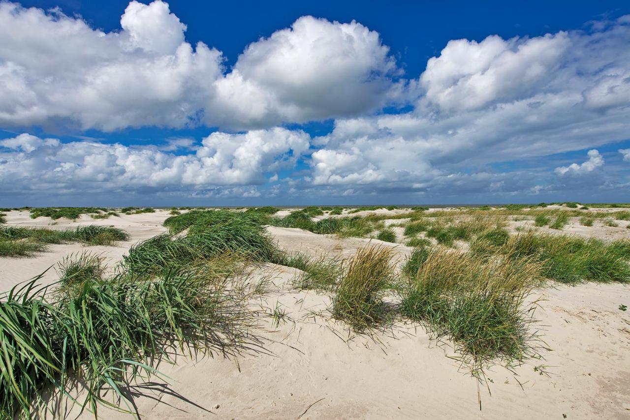 Appartement Duinzee Texel Де Коох Екстериор снимка